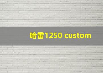 哈雷1250 custom